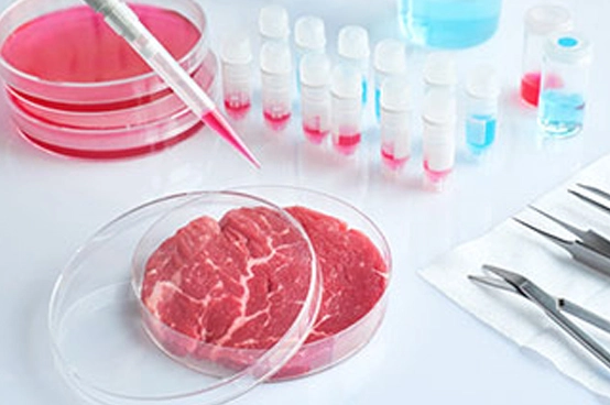 Production of Cell Cultured Meat