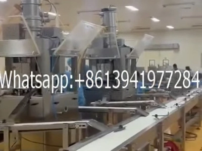 Chicken essence block tablet press