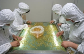 Light_inspection_table.png