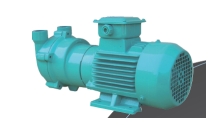 Model_S2BV5110.png