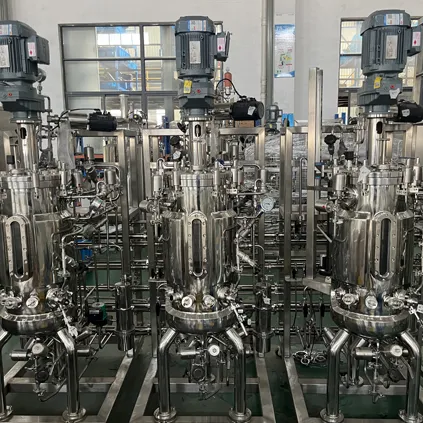 Enzyme Bioreactor Fermenter