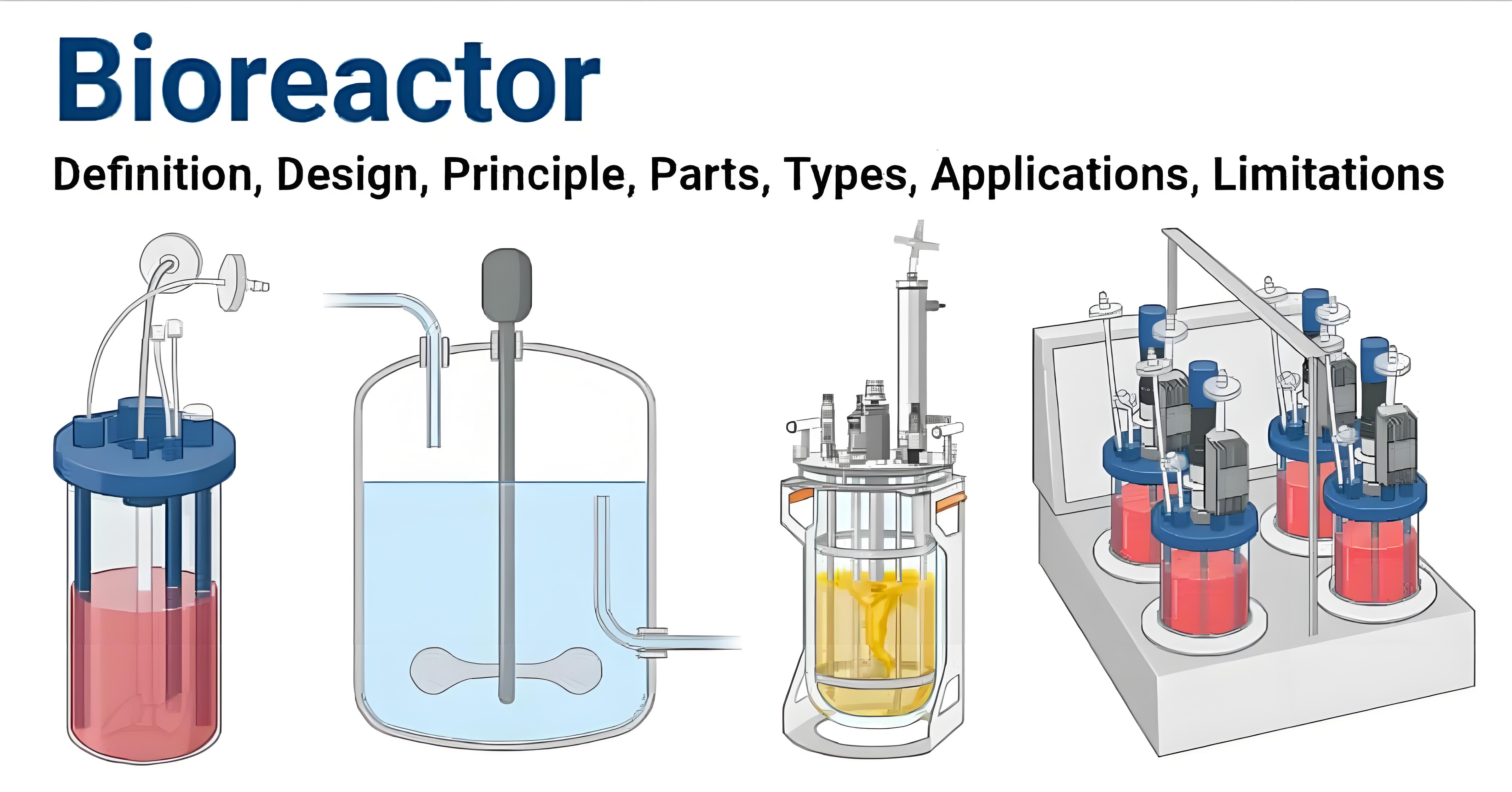 enzyme-bioreactor-fermenter-22.jpeg