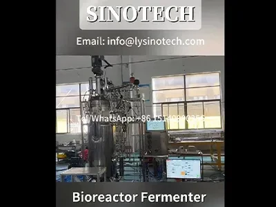 Customize Automatic Stainless Steel Bioreactor Fermenter Fermentor System SINOTECH