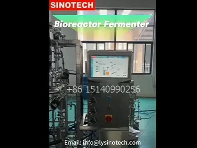 Customize Automatic SIP/CIP Stainless Steel Microbe Bioreactor Fermenter Fermentor System SINOTECH