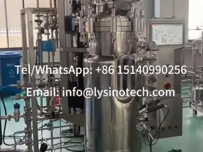 SINOTECH 100L fully automatic bioreactor fermenter system