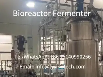 FAT 100L-1000L Multiple Stages Automatic Sip Stainless Steel Bioreactor Fermenter System Sinotech
