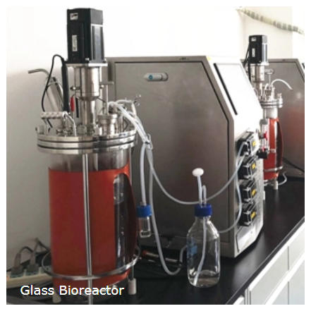 Benchtop_Glass_Bioreactor.jpg