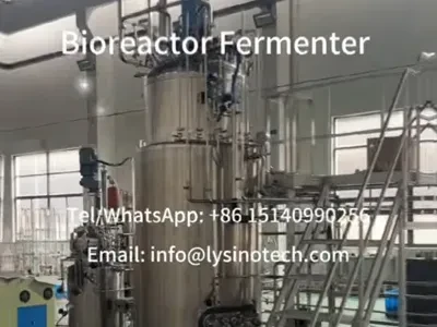 SINOTECH Bioreactor Fermenter System Customize Bioreactor Fermenter