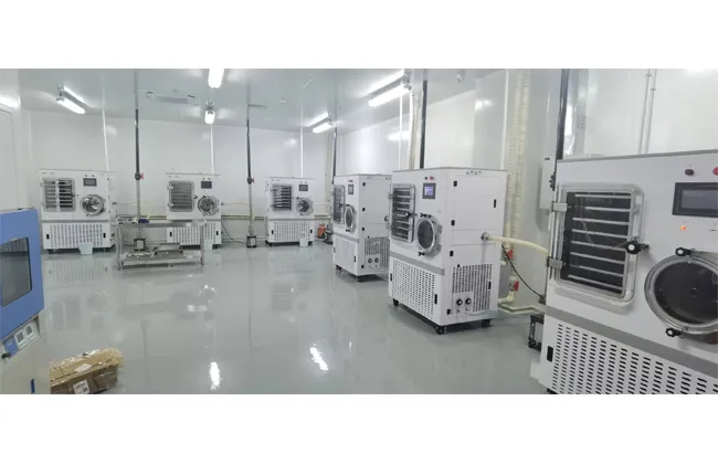 lyophilizer freeze dryer