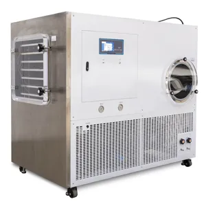 Vacuum Freeze Dryer