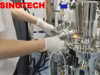 Flame inoculation stainless steel bioreator fermenter Sinotech