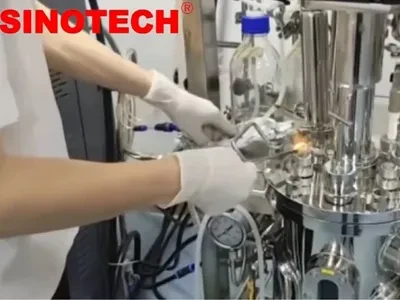 Flame inoculation stainless steel bioreator fermenter Sinotech